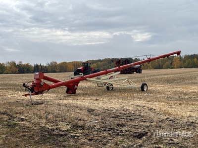 2002 Farm King 1060 10 in x 60 ft Swing Coclea grano