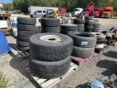 Quantity of Banden
