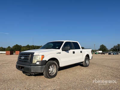 2010 Ford F-150 4x2 Crew Cab Pickup