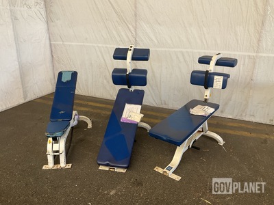 (2) Cybex Bent Leg Abdominal Boards & (1) Cybex Adjustable Free Weight Bench