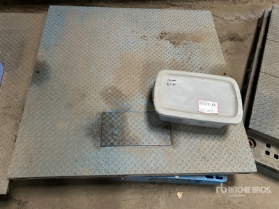 Weigh-Tronix ZM201 4 ft x 4 ft 5000 lb Platform Schaal