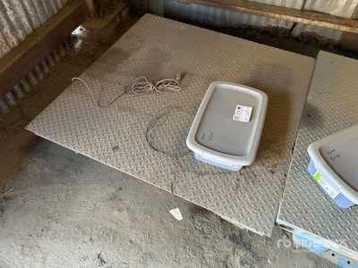 Weigh-Tronix ZM201 4 ft x 4 ft 5000 lb Platform Schaal