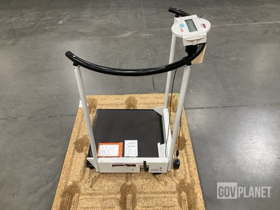 Seca Patient Scale