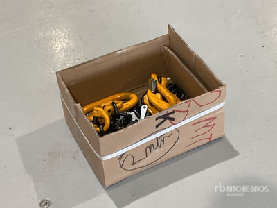 Quantity of (2) 4250 kg Leg Lifting Chain 3mtr. Eslinga