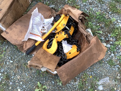 2019 Chain Hoist Varios. Industrial
