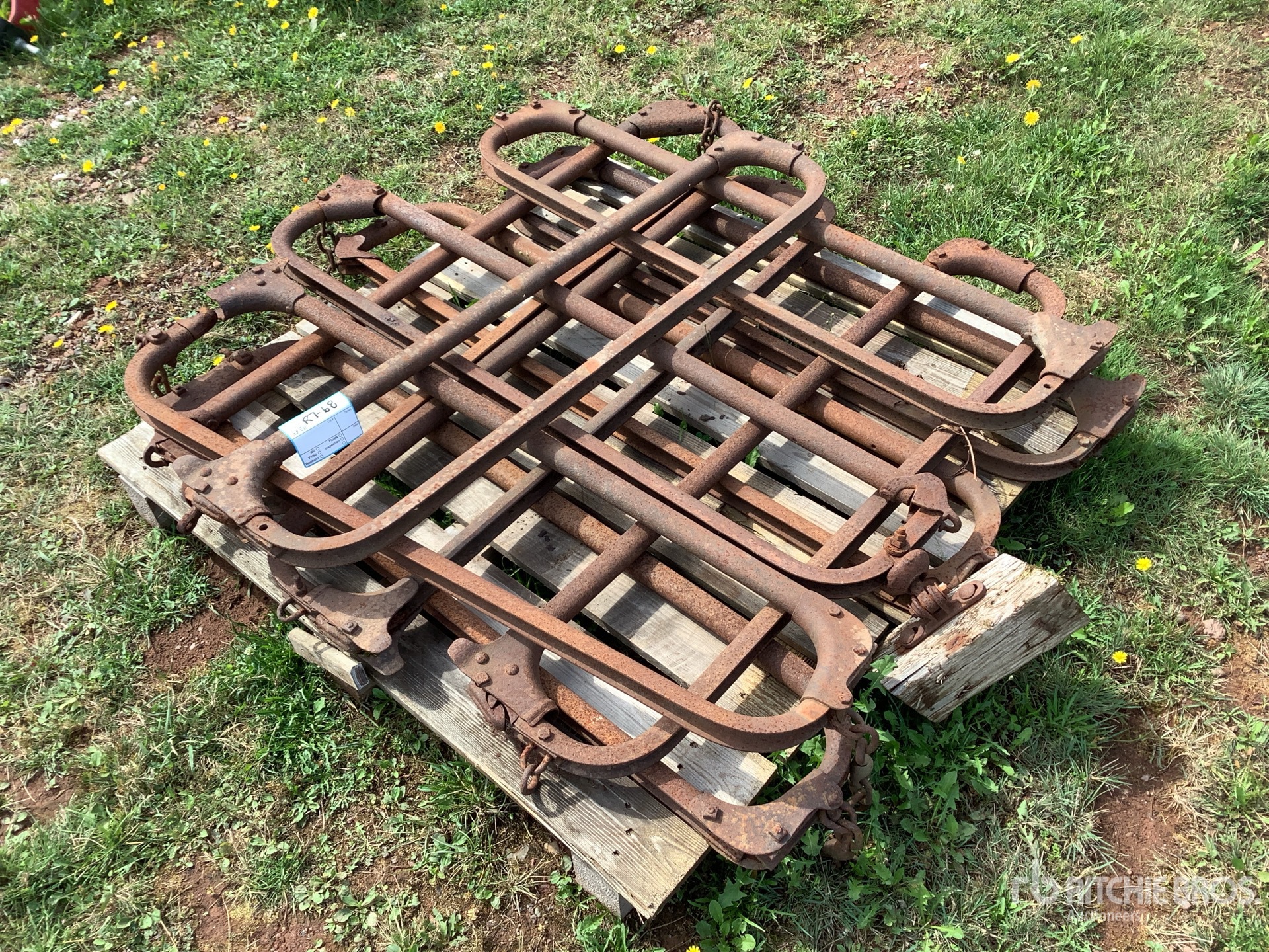 Cattle Stanchions