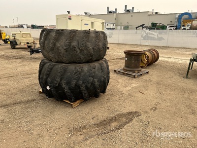 Quantity of rims and Neumáticos