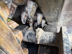 Rubber Track Undercarriage with