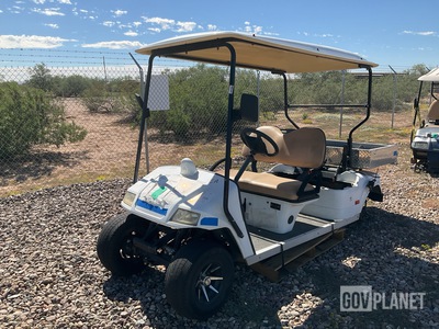 Star EV Utility Cart