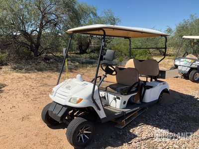 MotoEV Electro Utility Cart