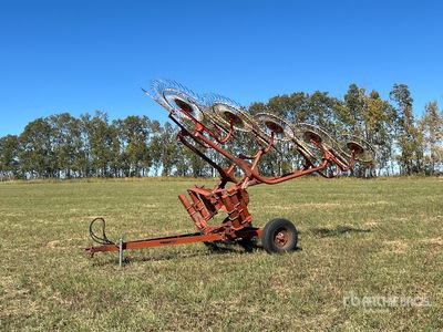 Sitrex 10 Wheel Batwing Hay Rake
