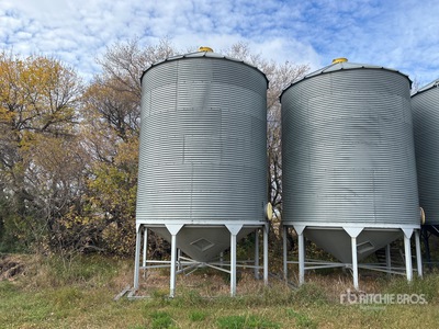 Westeel-Rosco +/- 2300 bu 6 Ring Hopper Cassone per grano