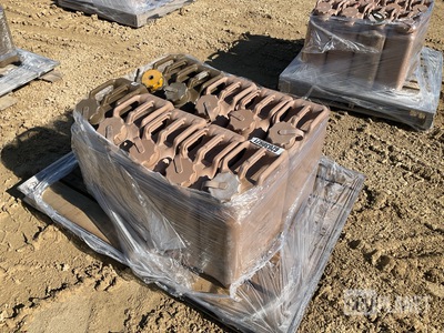 (10) Plastic Fuel Cans