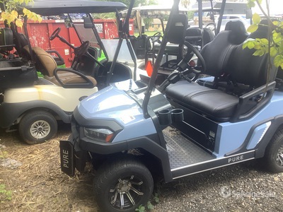 2025 ICON EV Pure P40 Electric Electric Golf Cart (Inoperable)