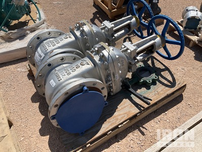 Quantity of (2) DSI 10 in Gate Valves (Unused)