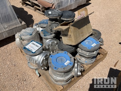 Quantity of (14) Bonney Forge Check Valves (Unused)
