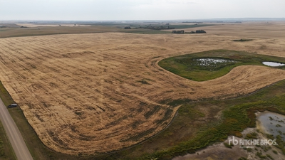 Provost, AB NE 20-38-3-W4 159 +/- Acres on Title 132 cult ac, 27 pasture ac, canola 2024, barley 2023 Tierras de Cultivo
