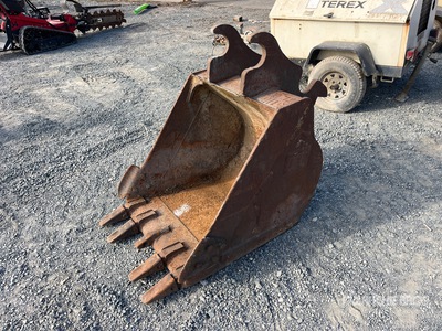 Cat 31 in Digging Excavator Bucket