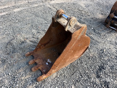 Cat 21 in Digging Excavator Bucket