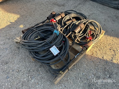 Quantity of (10) Welders Tiger Torches