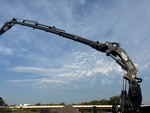 Boom with Condizioni del braccio (telescopico)