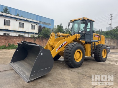 2016 XCMG LW600FN Wheel Loader