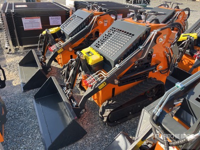 2025 ARTEER QB-480 Mini Oruga cargadora compacta (Unused)