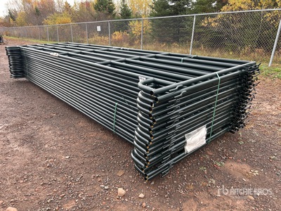 Quantity of (24) 2025 BYT PNL180 18 ft x 5 ft 6 in 6-Rail Panel para ganado (Unused)