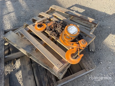 Beebe Bros ME 050 5 Ton Chain Sollevatore da cantiere