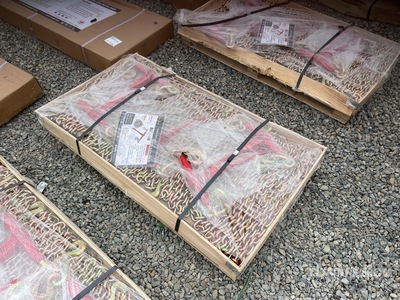 2025 Landhonor LHR-RC9200 9200 lb Ratchet Binders w/20 ft Chains Articoli da ferramenta e di consumo (Unused)