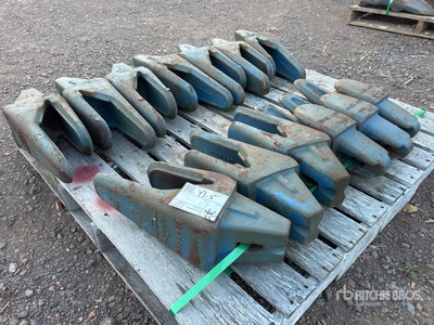 Quantity of (13) Hensley Bucket Teeth