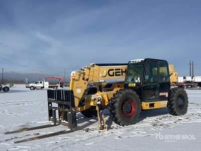 2019 Gehl DL12-55 を見 Telehandler