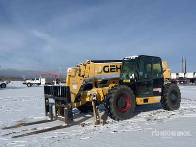 2019 Gehl DL12-55 を見 Telehandler