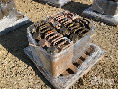 (10) Plastic Fuel Cans