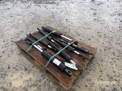 Maschio Gaspardo Set of 8 Hydraulic Piston