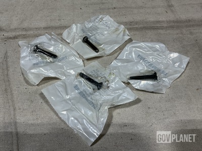 (80) Blessing Our World 3392AS626-3 Screws