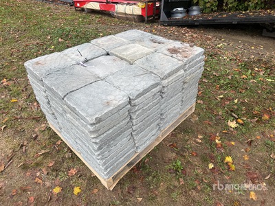 Thermal Bluestone Treads