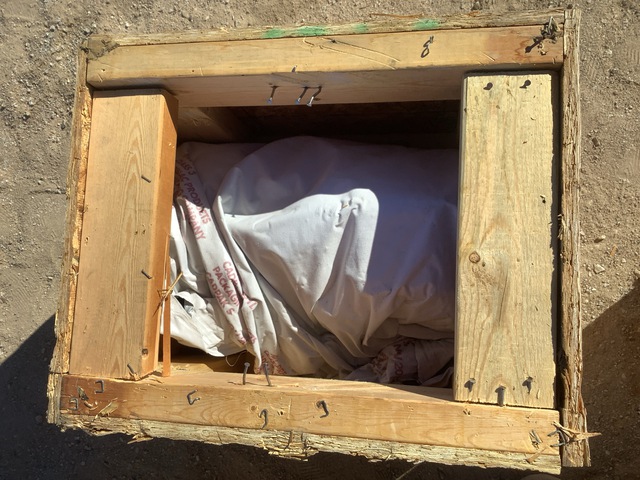 C.E. Niehoff N1609-3 Alternator