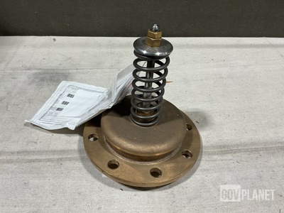 TEC 838-860-041 Safety Relief Valve
