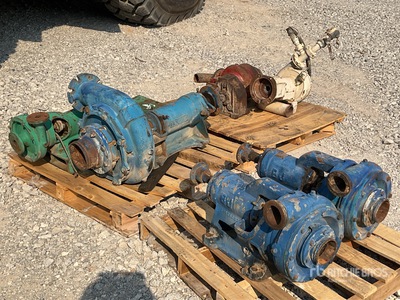 Quantity of (6) Pompa per acqua