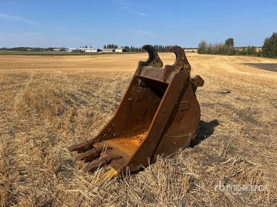 Cat 33 in Digging Excavator Bucket