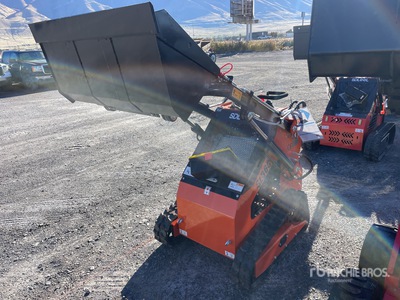 2025 SDLOOL SL36C Skid Steer Loader (Unused)