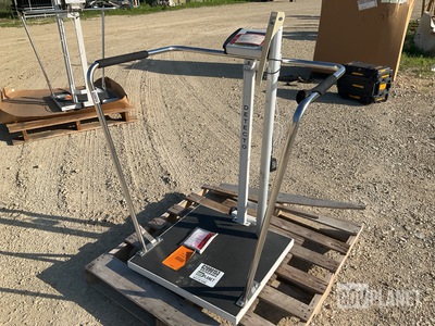 Detecto 758C Scale