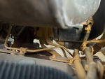 Engine with Exhaust System