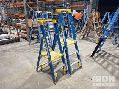 Quantity of (2) Bailey Platform Échelle