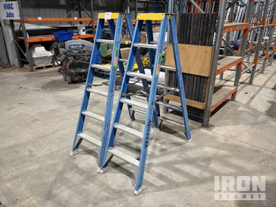 Quantity of (2) Bailey Ladder