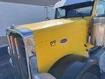 General Appearance with Paint