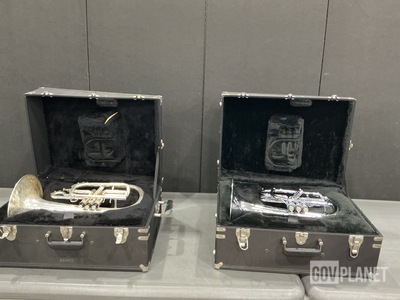 (6) Cornet Horns