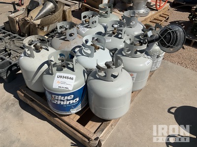 Quantity of (11) 20 lb. Propane Tanks