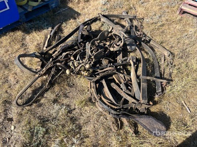 Team Horses Harness